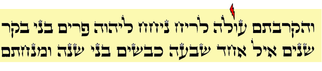 Numbers 28:27